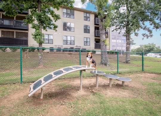 Dog Park at Forest Park Apartments