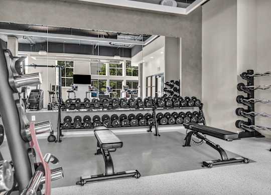 A gym with a variety of equipment including dumbbells, weight plates, and a bench press.