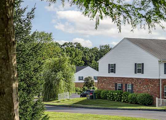 A white house with a grey roof is surrounded by greenery.