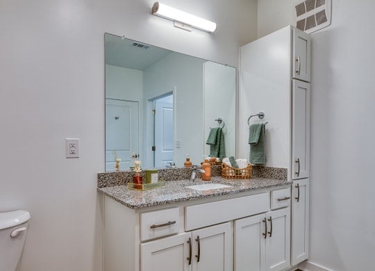 a bathroom with a sink and a mirror and a toilet at Allure at Edinburgh, Virginia, 23322