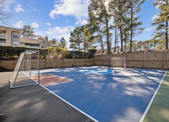 the backyard has a tennis court and a goal net