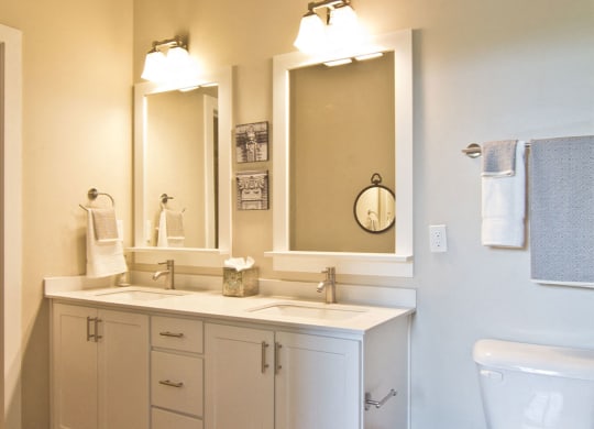 Vanities at Hayden Lofts Apartments, Dublin