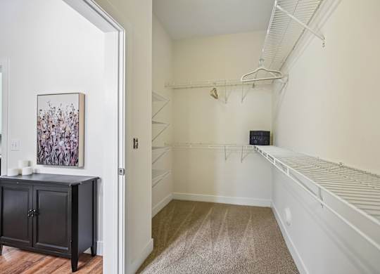 A room with a carpeted floor and a wooden cabinet.