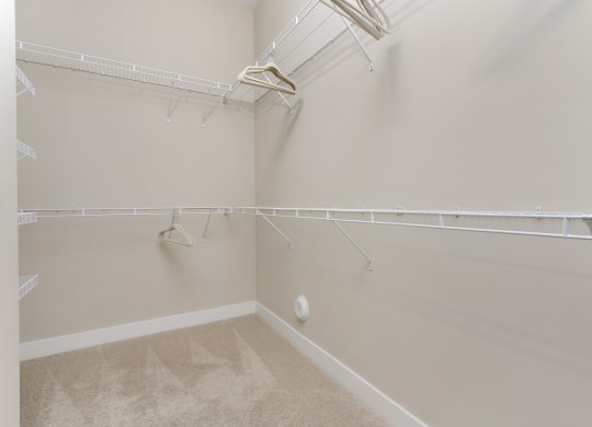 the preserve at ballantyne commons spacious walk in closets with shelves and racks at Hayden Lofts, Dublin, OH