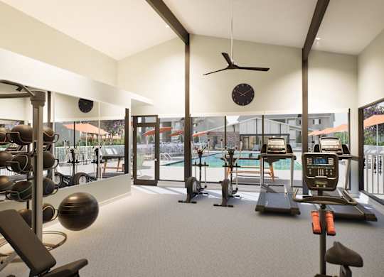 A gym with a variety of equipment including treadmills, weights, and exercise balls.