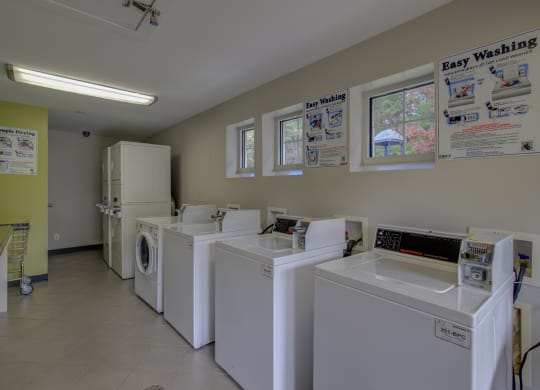 Laundry Hunting Ridge