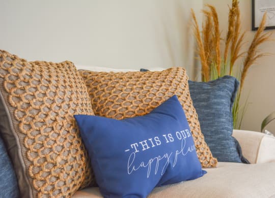 a couch with three pillows on it and a pillow that reads this is our