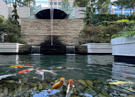 a pond with koi fish in it and a water fountain at Preston Centre, Columbus, OH
