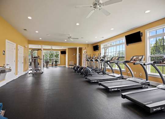 A gym with treadmills and exercise equipment.