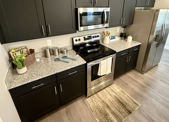 a kitchen with black cabinets and stainless steel appliances at Barclay Place Apartments, Wilmington