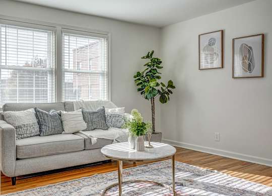 A living room with a grey couch, a white coffee table, and a rug.