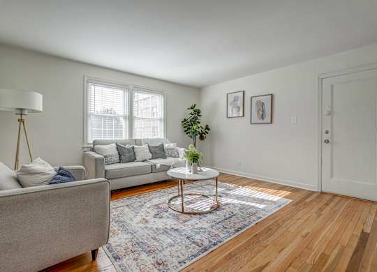 A living room with a grey couch, a white coffee table, and a rug.