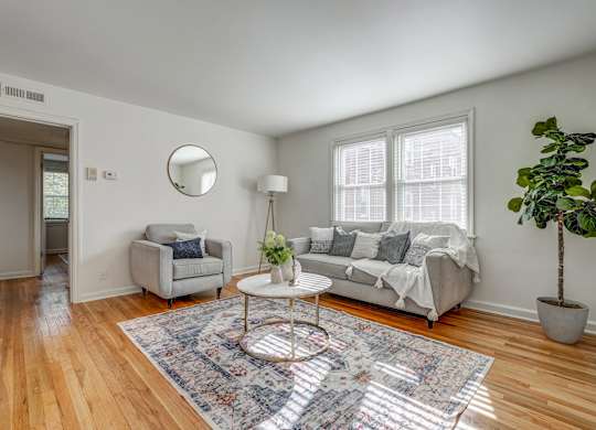 A living room with a grey couch, a round mirror, a rug and a potted plant.