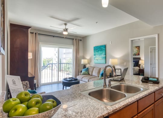 Kitchen at Liberty Apartments in Downtown Newport News