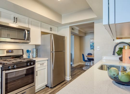 Kitchen 3 Coastline Apartments in Virginia Beach VA