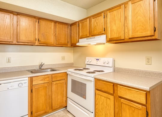 Kitchen at The Everett Apartments , Roanoke, VA 24018