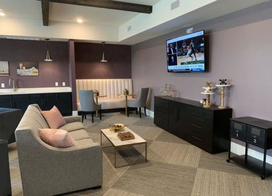 TV area at Lumina Apartments in New Orleans