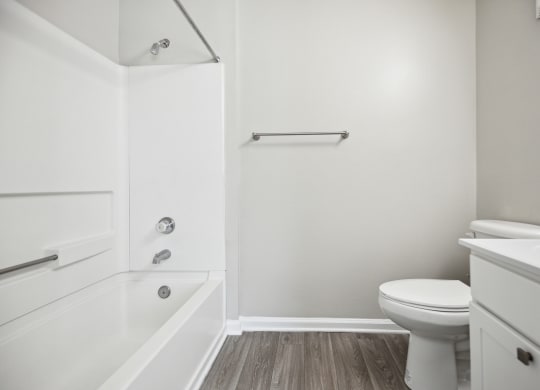 a bathroom with a toilet and a bathtub