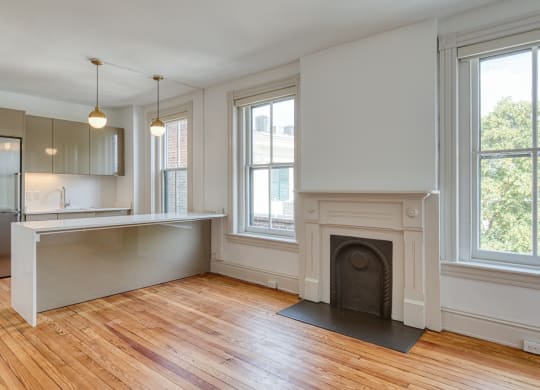 Open kitchen at The Edgar at Linden Row Apartments 23219