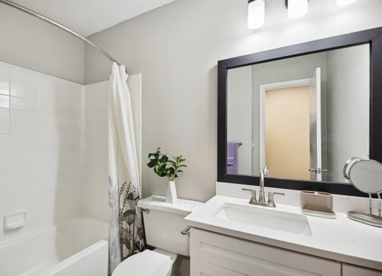a bathroom with a sink and a mirror and a shower