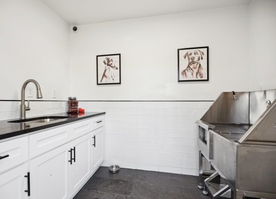 a kitchen with white cabinets and a stainless steel counter top and a sink