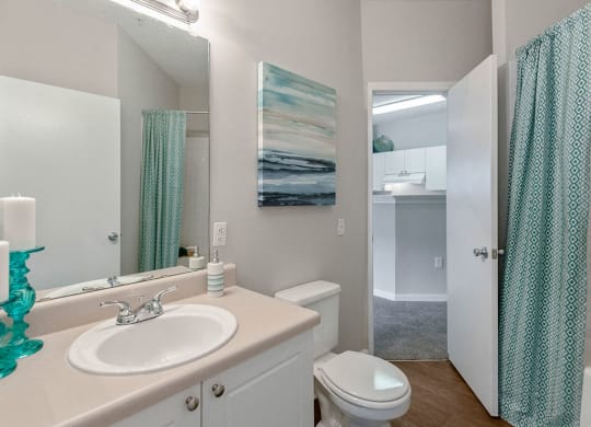 Bathroom at Mayfaire Apartments in Raleigh NC