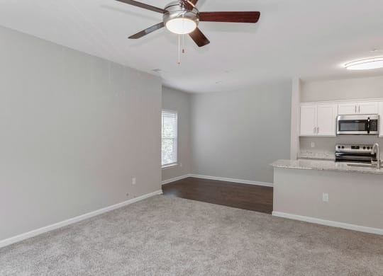 New Carpet and Flooring in Renovated Apartments