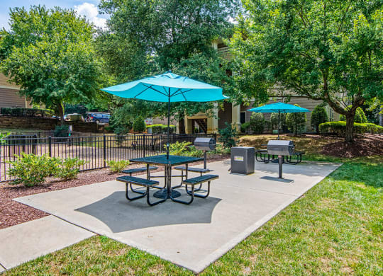 Grill area 3 at Mayfaire Apartments in Raleigh NC