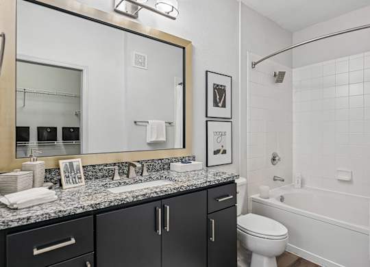 A bathroom with a black counter top and white fixtures.