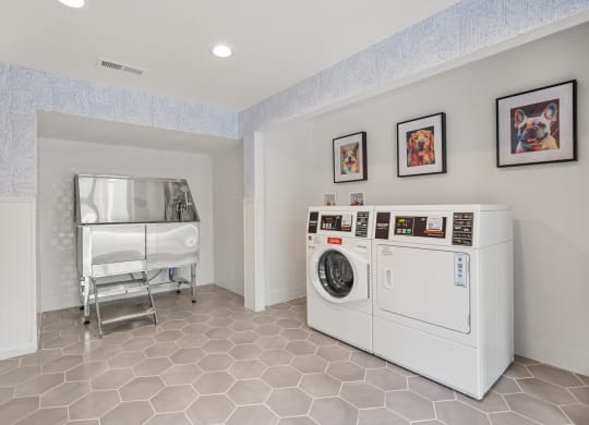 a laundry room with a washer and dryer and a bed in the corner