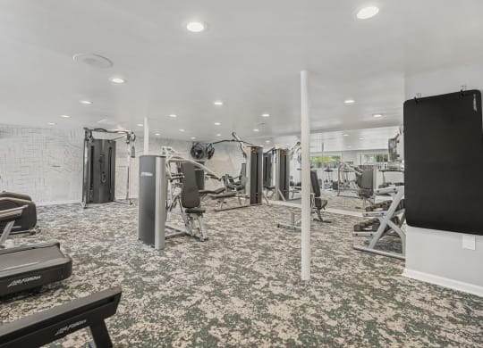 a gym with weights and cardio machines and a tv