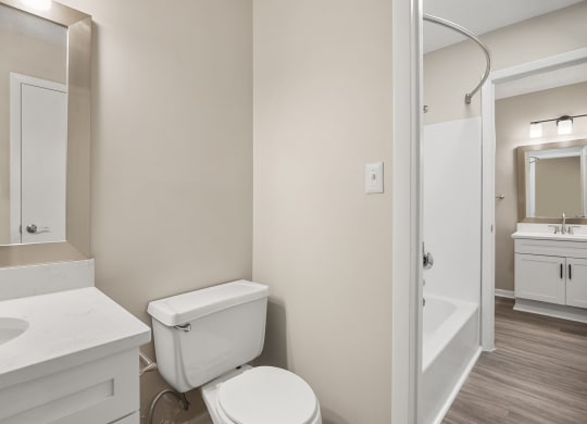 a bathroom with a toilet and a sink and a mirror