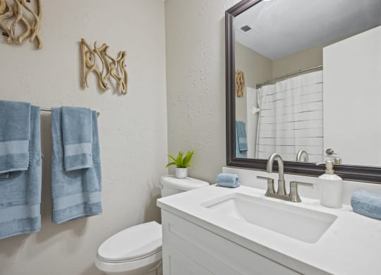 a bathroom with a sink and a toilet and a mirror