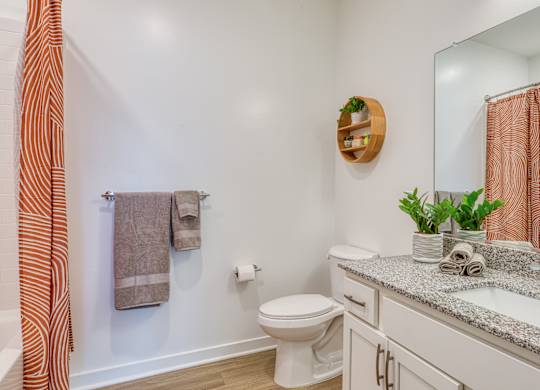 a bathroom with a toilet and a sink and a mirror