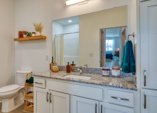 a bathroom with a toilet and a sink and a mirror