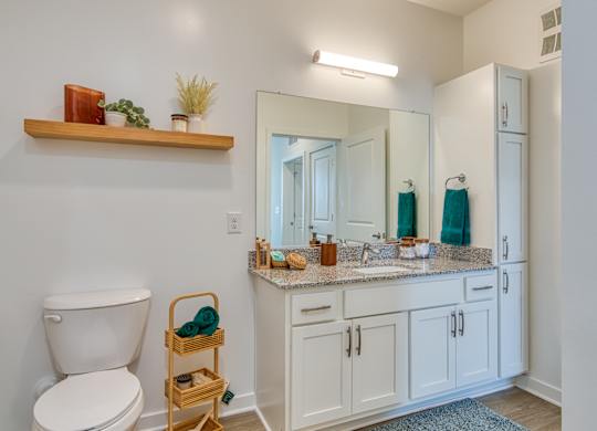 a bathroom with a toilet and a sink and a mirror