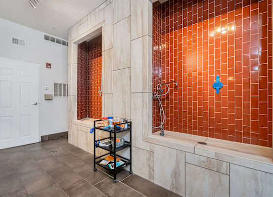 A room with a white door and a red tiled wall.