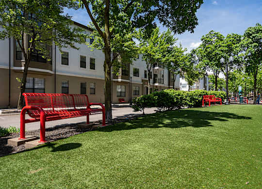 A red bench sits in the middle of a grassy area.
