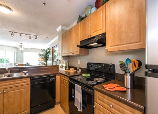 Kitchen at Northlake Apartments in Charlotte NC