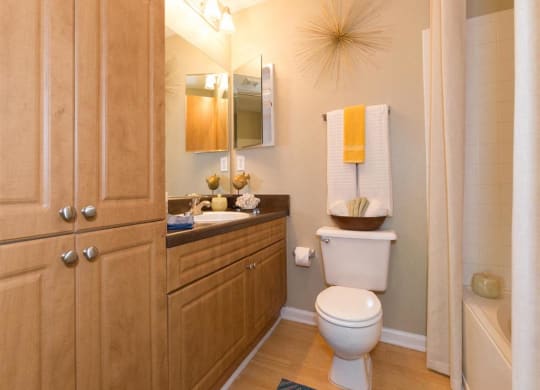 Bathroom 2 at Northlake Apartments in Charlotte NC
