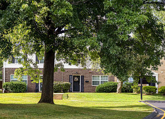 A tree in front of a building with a black door.