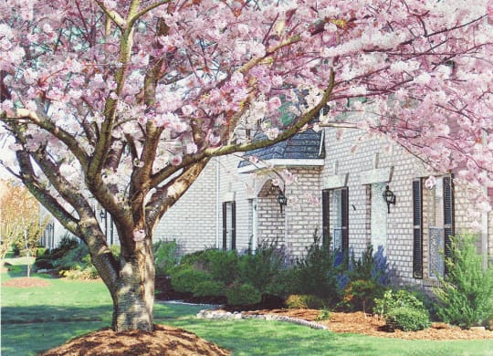 Old Donation Apartments for age 55+ seniors