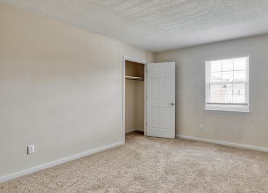 A room with a carpeted floor, a white door, and a window with blinds.