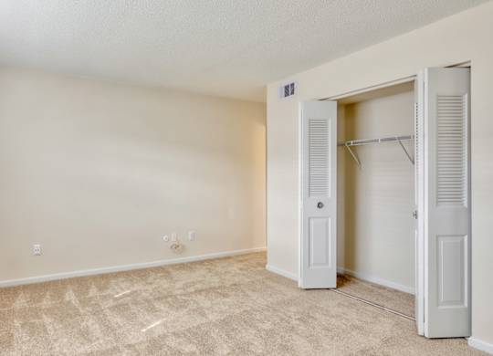 A room with a carpeted floor and a closet with white doors.