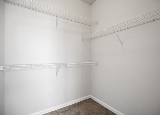 an empty closet with white walls and shelves and a carpet