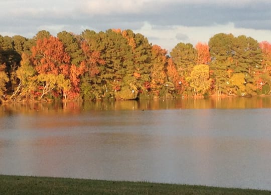 Old Donation Senior Apartments Lake