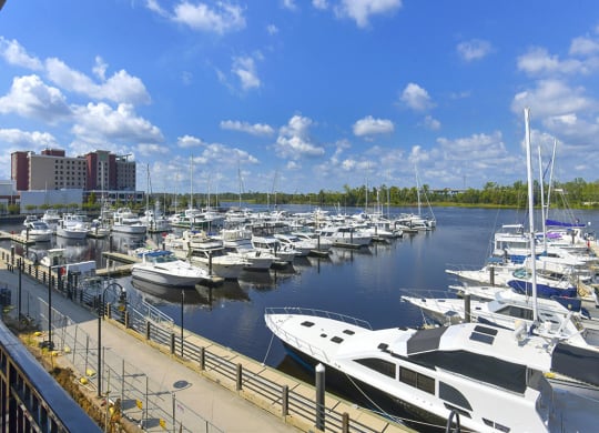 Second Floor view Pier 33 at Pier 33 Apartments, Wilmington, 28401