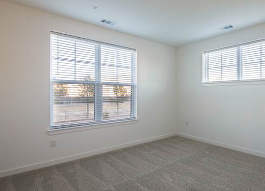 A room with two windows and carpeted flooring.