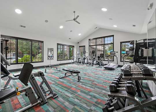 A gym with a variety of equipment including weights and a bench.
