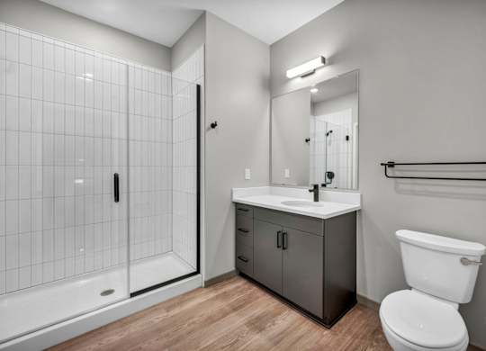 A modern bathroom with a walk-in shower, toilet, and sink.